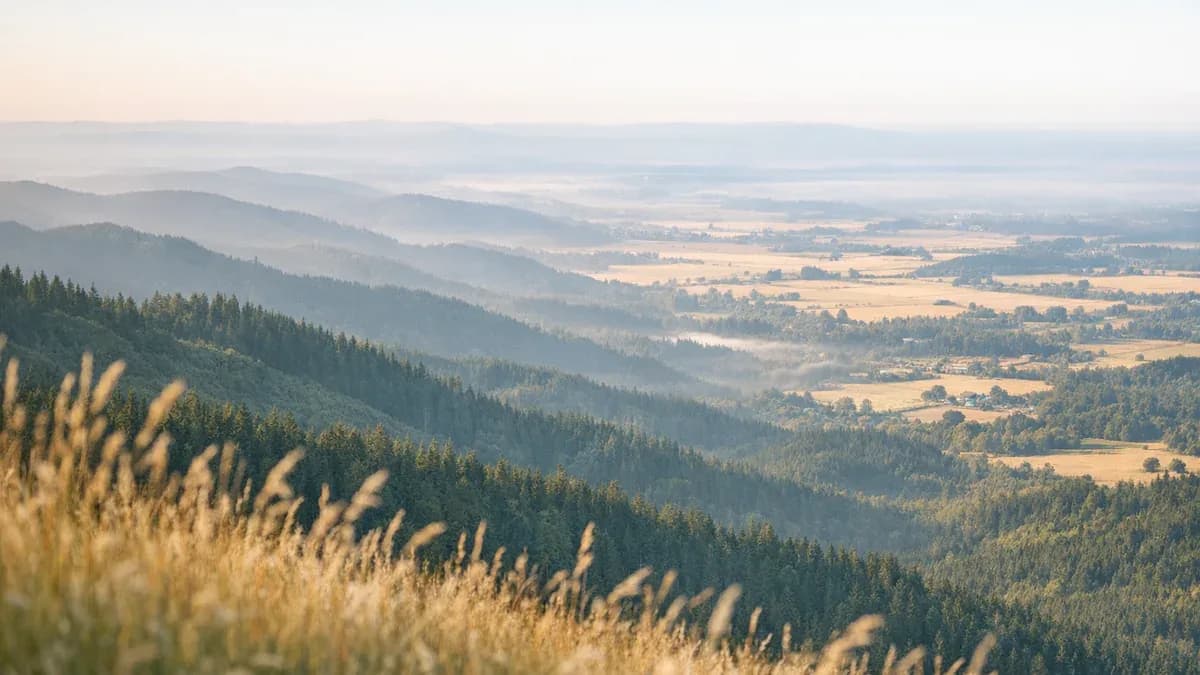 Benton County, Oregon scenic image for uncontested divorce landing page