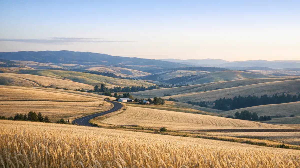 Morrow County, Oregon scenic image for uncontested divorce landing page